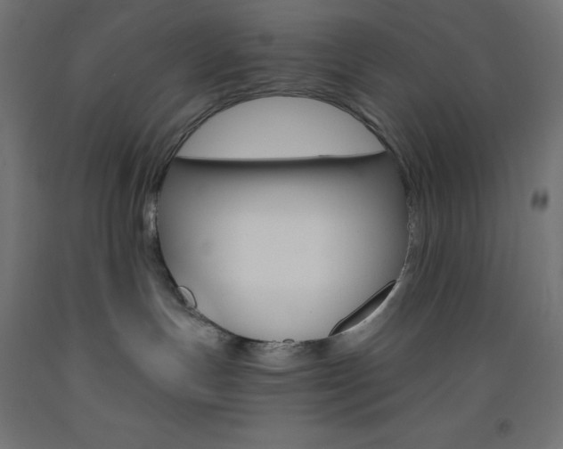 X0000093530191200710121157