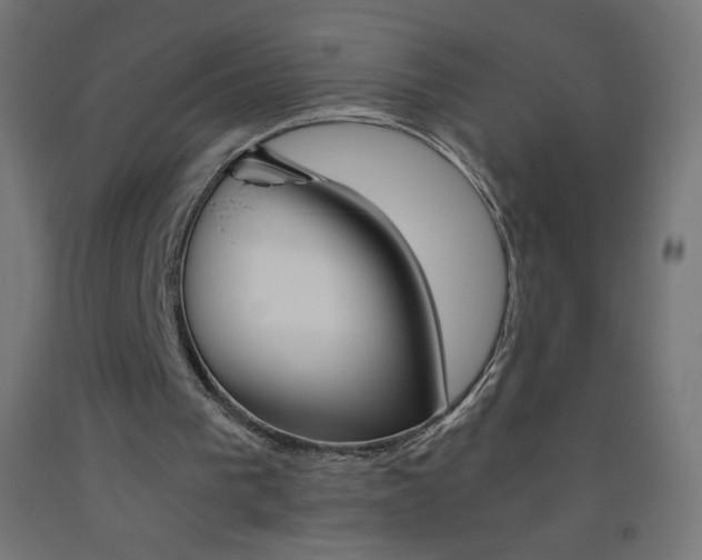 X0000093530193200710121156