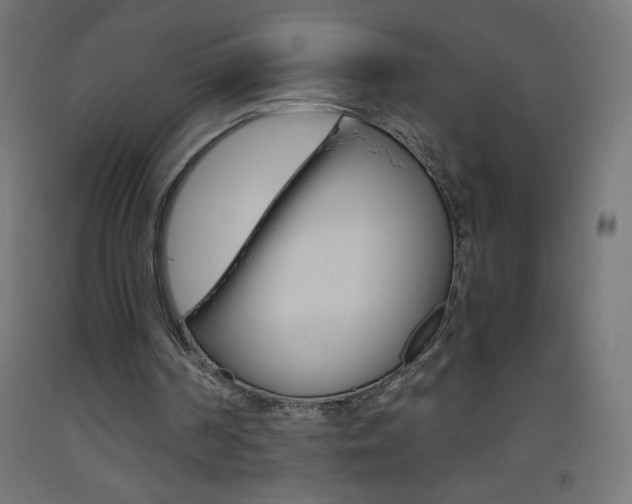 X0000093530194200710121156
