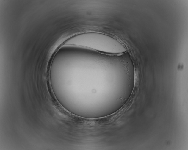 X0000093530195200710121156