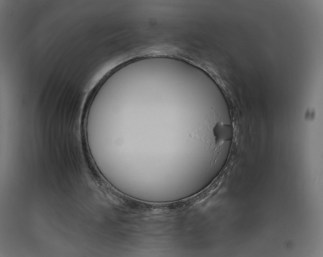 X0000093530196200710121156