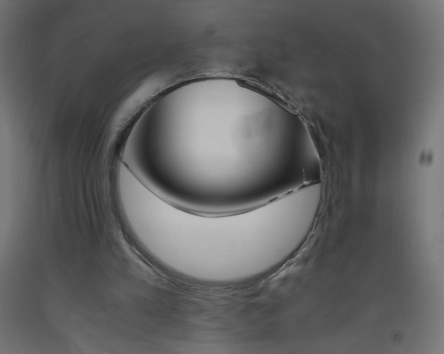 X0000093530197200710121156