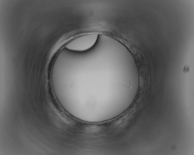 X0000093530198200710121156