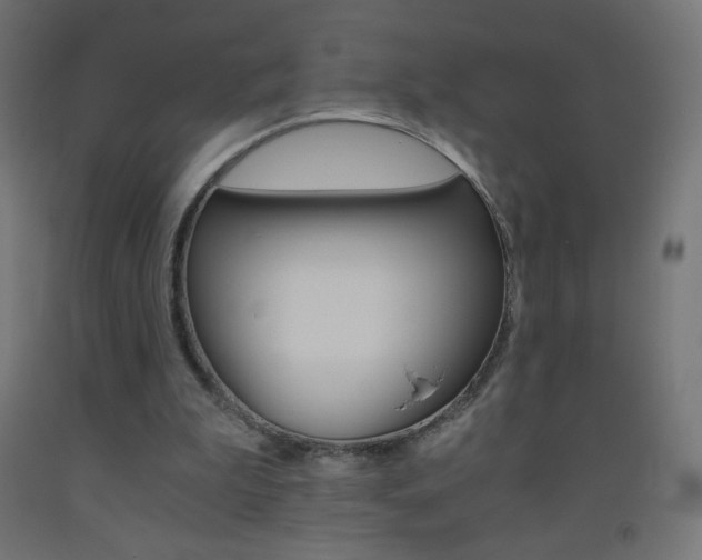X0000093530199200710121156
