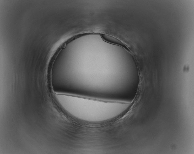 X0000093530200200710121156