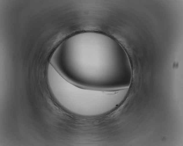 X0000093530201200710121156
