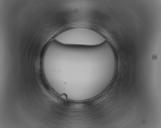 X0000093530202200710121156