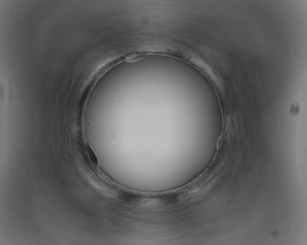 X0000093530203200710121156