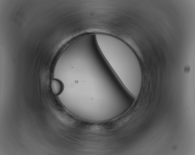 X0000093530204200710121156