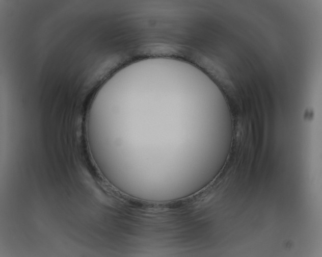 X0000093530206200710121156