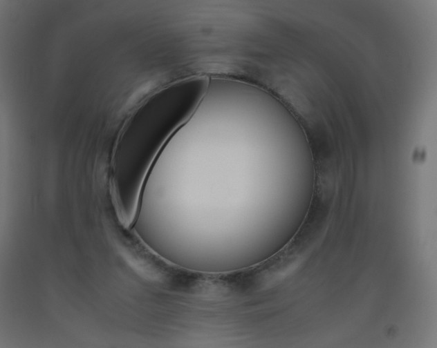 X0000093530207200710121156