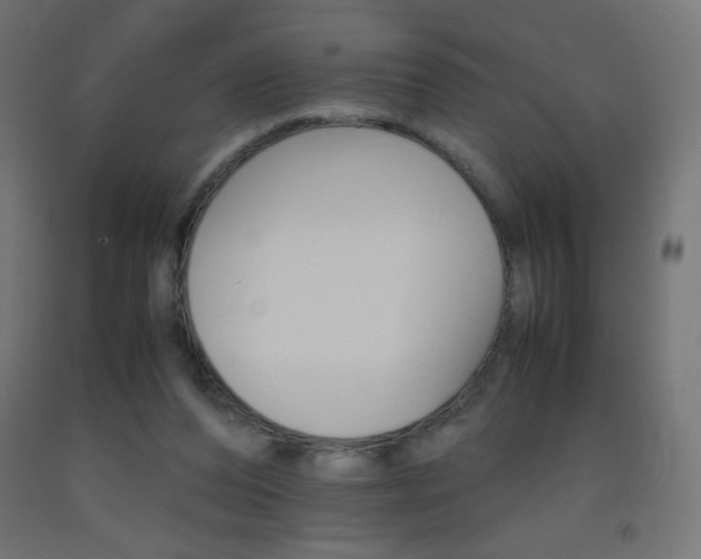 X0000093530208200710121156