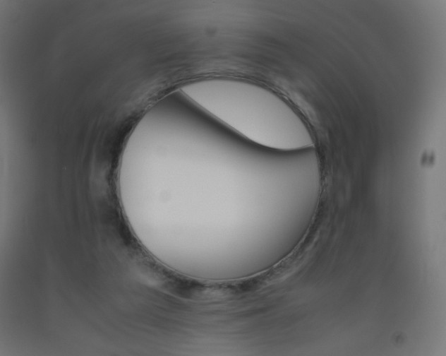 X0000093530209200710121156