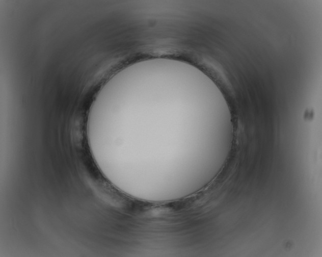 X0000093530210200710121156