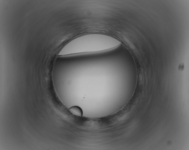 X0000093530211200710121156