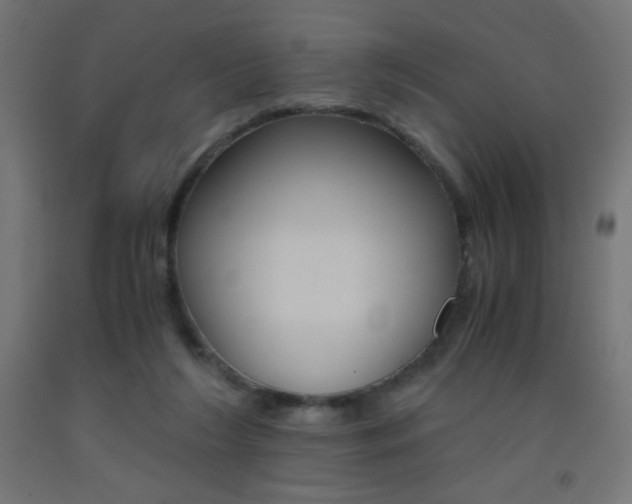 X0000093530212200710121156