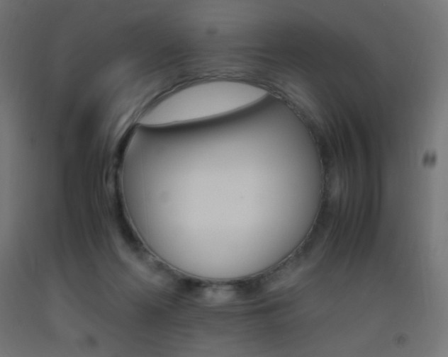 X0000093530214200710121156
