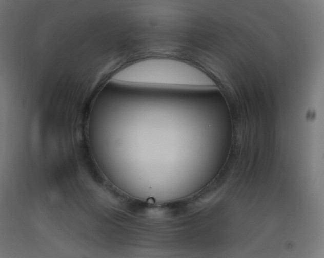 X0000093530216200710121156