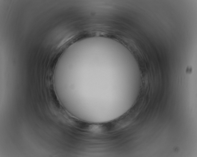 X0000093530218200710121156