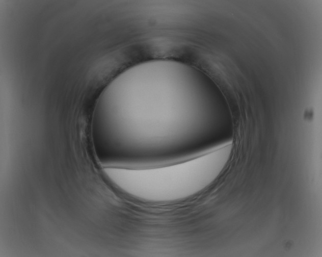 X0000093530219200710121156