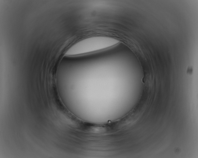 X0000093530220200710121156