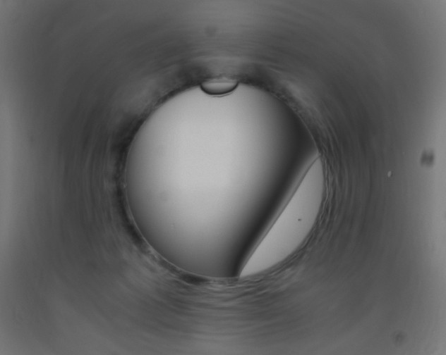 X0000093530221200710121156