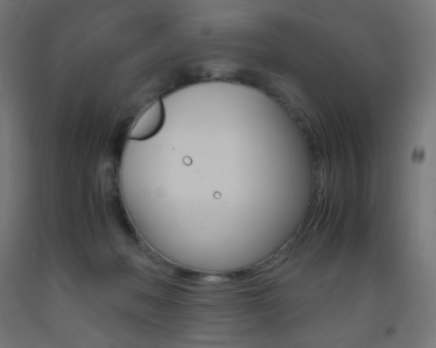 X0000093530222200710121156