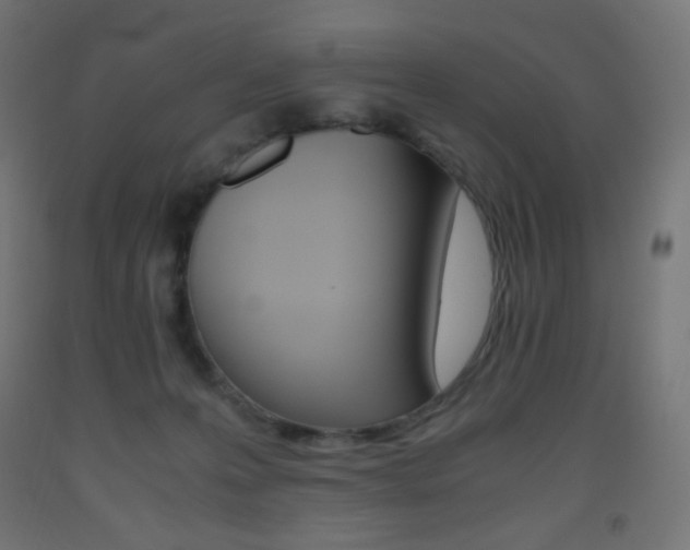 X0000093530223200710121156
