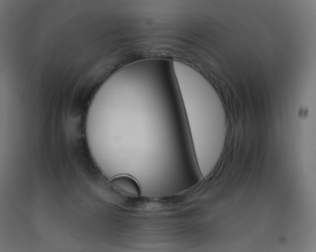 X0000093530224200710121156