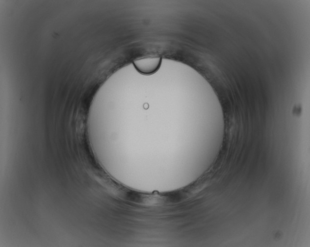 X0000093530226200710121156