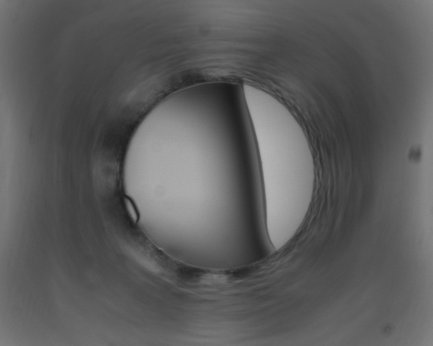 X0000093530227200710121156