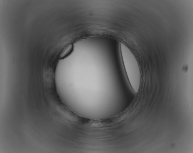 X0000093530228200710121156
