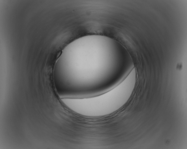 X0000093530229200710121156