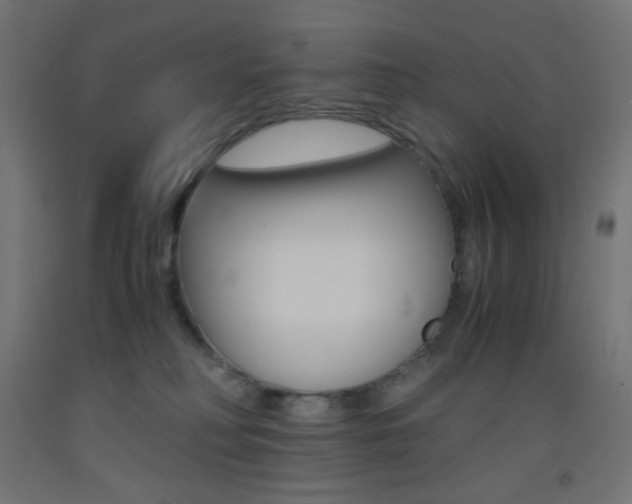 X0000093530230200710121156