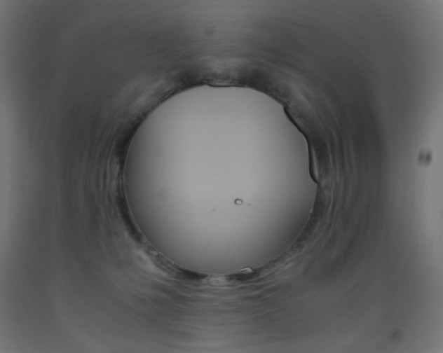 X0000093530231200710121156