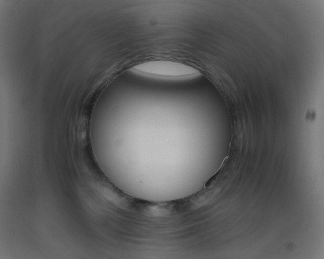 X0000093530232200710121156