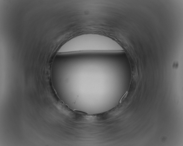 X0000093530233200710121156