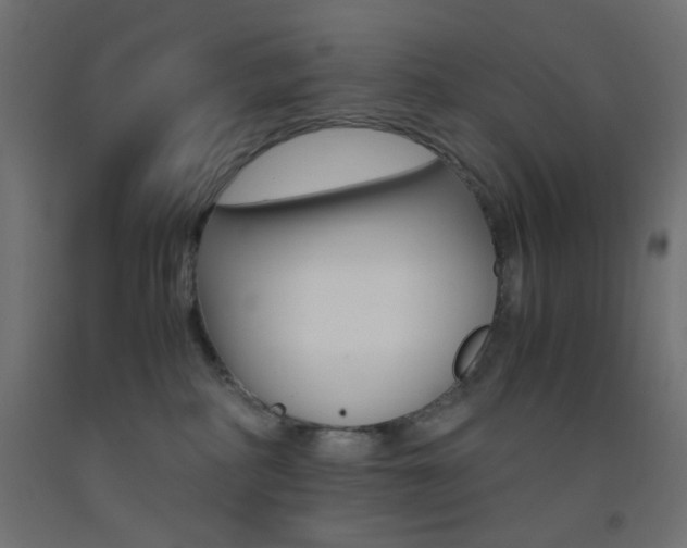 X0000093530234200710121156