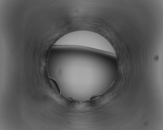 X0000093530235200710121156