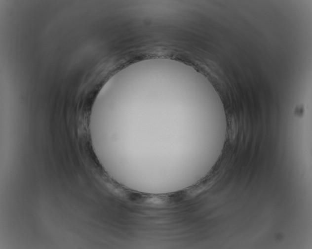 X0000093530236200710121156
