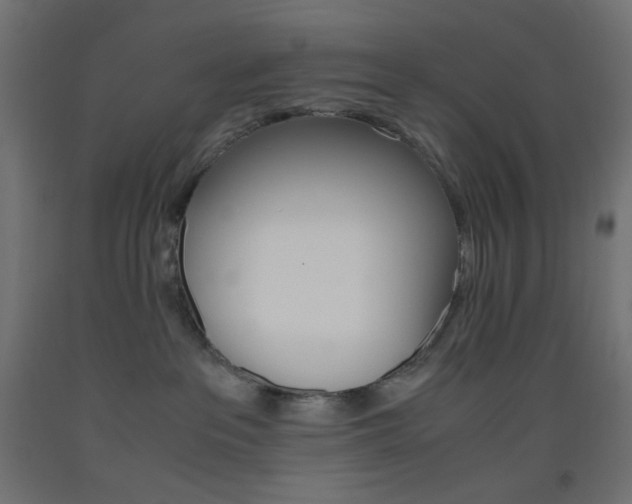 X0000093530237200710121155