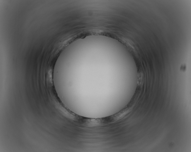 X0000093530238200710121155