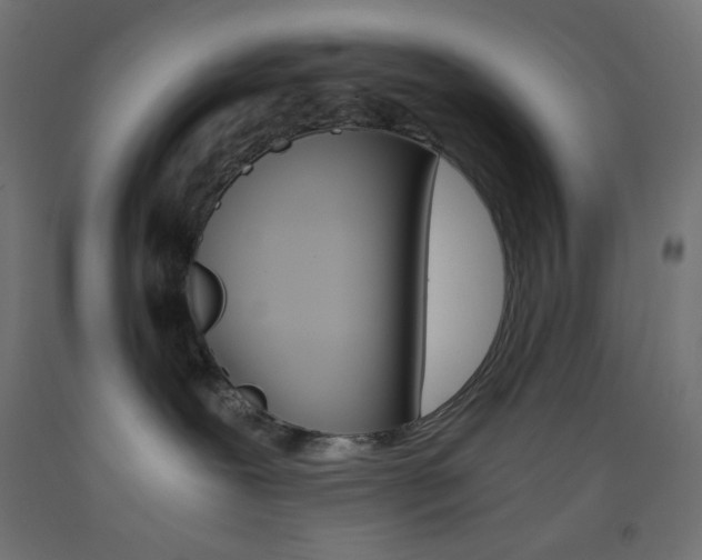 X0000093530239200710121155