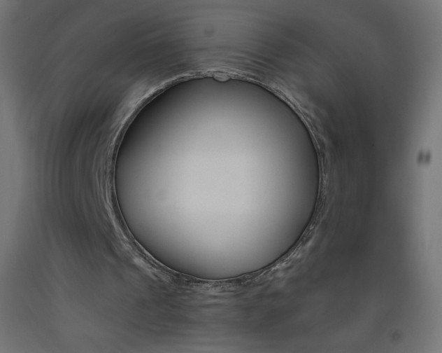 X0000093530241200710121155