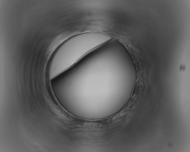 X0000093530242200710121155
