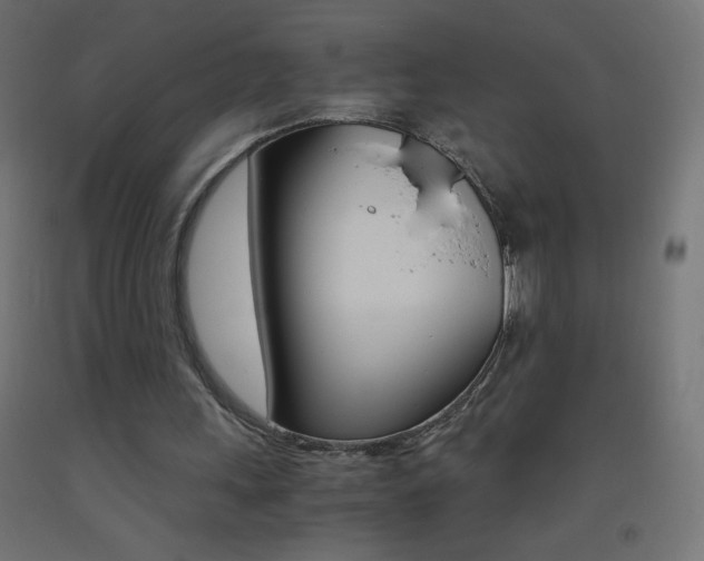 X0000093530243200710121155