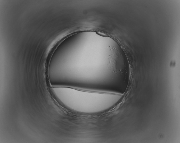 X0000093530244200710121155