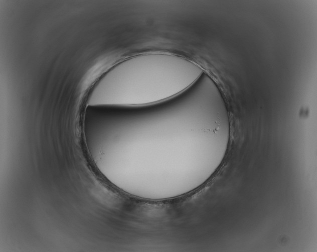 X0000093530245200710121155
