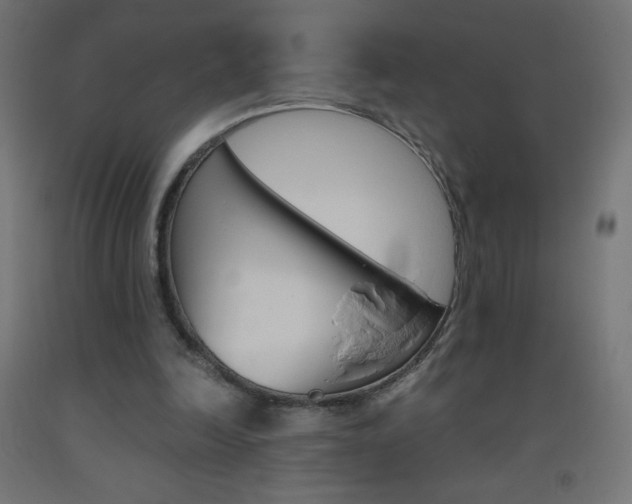 X0000093530246200710121155
