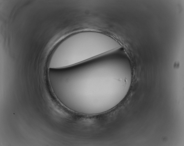 X0000093530247200710121155